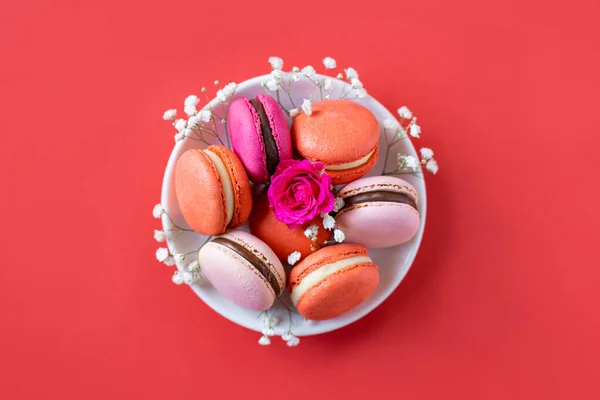 Macarons Français Savoureux Avec Des Fleurs Sur Fond Rouge Endroit — Photo