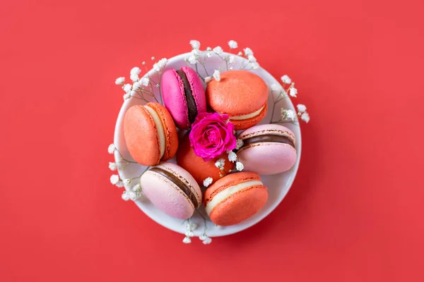 Lekkere Franse Macarons Met Bloemen Een Rode Achtergrond Plaats Voor — Stockfoto