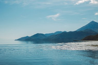 Güneşli bir sabahta Skadar Gölü 'nün muhteşem manzarası. Karadağ 'da seyahat hedefi.