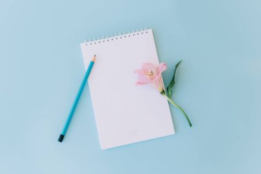 Boş sayfalı defter, açık mavi arka planda pembe çiçek ve kalem. Düz yatıyordu. Metin için yer.