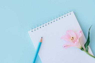 Boş sayfalı defter, açık mavi arka planda pembe çiçek ve kalem. Düz yatıyordu. Metin için yer.