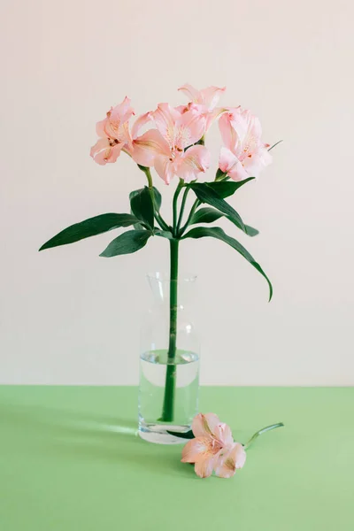 Hermosas Flores Alstroemeria Rosa Jarrón Sobre Fondo Verde Lugar Para — Foto de Stock