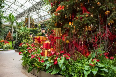 Kennett Meydanı, PA, ABD - 30 Aralık 2021: Noel tatili Longwood Gardens Konservatuarı 'nda turistler için başlıca ilgi odağı süslenmiş ağaçlar, birçok nokta nokta nokta ve güzel kokulu çiçekler..