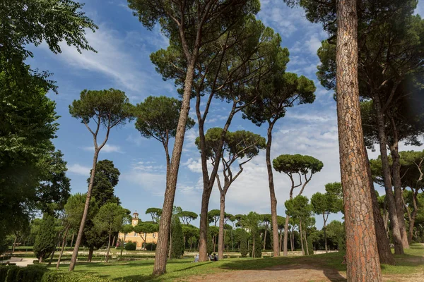 Villa Borghese Est Troisième Grand Jardin Paysager Rome Italie Qui — Photo