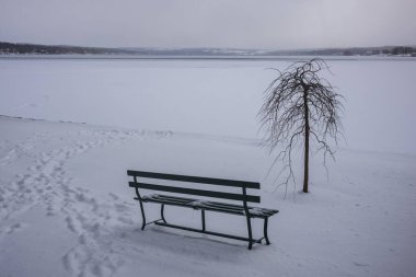 Kış aylarında New York Eyaleti 'nin parmak göllerinden biri olan donmuş Skaneateles Gölü' ne bakan bir park bankı ve küçük bir ağaç manzarası.. 
