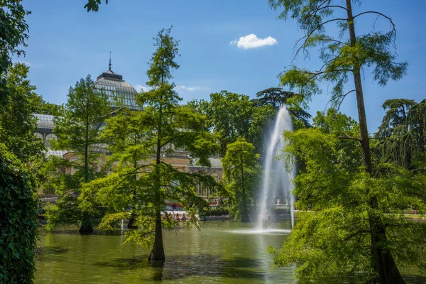 Madrid España Junio 2018 Palacio Cristal Parque Retiro Encuentra Junto —  Fotos de Stock