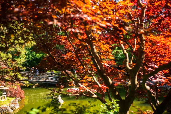 Spokane Usa Липня 2022 Відвідувачі Насолоджуються Літнім Днем Японському Саду — стокове фото