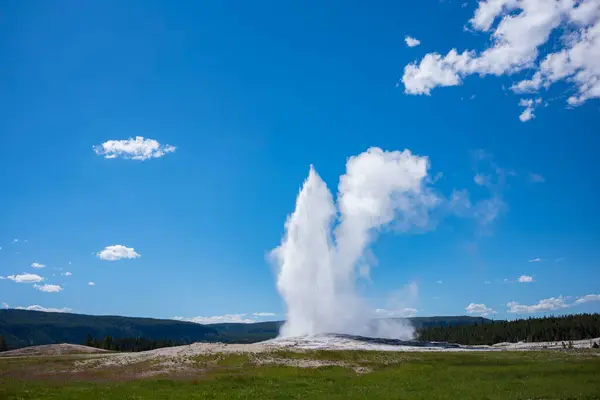 Famous Geyser Old Faithful Photographed Sunny Day Yellowstone National Park — Stock Photo, Image