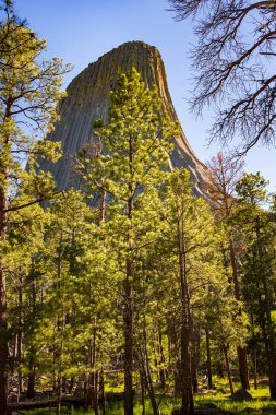 Kara Tepeler 'in bozkırlarından çıkan jeolojik bir özellik olan Devils Kulesi Kuzey Ovası Kızılderilileri tarafından kutsal ve Kuzey Amerika' nın en iyi dağcılık alanlarından biri olarak kabul edilir..