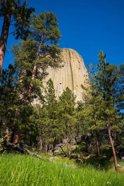 Devils Tower Geologic Feature Protrudes Out Prairie Black Hills Considered — Foto de Stock