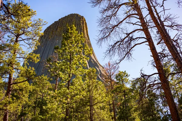 Devils Tower Geologic Feature Protrudes Out Prairie Black Hills Considered — Stock Photo, Image