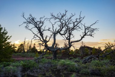Arco yakınlarındaki Ay Ulusal Anıtı ve Koruması kraterleri, dağılmış kül koni ve sagebrush adaları ile geniş bir lav akıntısı okyanusudur..