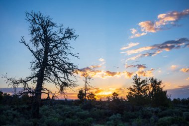 Arco yakınlarındaki Ay Ulusal Anıtı ve Koruması kraterleri, dağılmış kül koni ve sagebrush adaları ile geniş bir lav akıntısı okyanusudur..