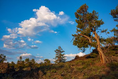 Arco yakınlarındaki Ay Ulusal Anıtı ve Koruması kraterleri, dağılmış kül koni ve sagebrush adaları ile geniş bir lav akıntısı okyanusudur..