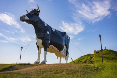 New Salem, ND, USA - Jun 19, 2022: Salem Sue, the World's Largest Holstein Cow, was built in 1974 to honor local dairy farming industry. The roadside attraction, off I-94 is free to the public.
