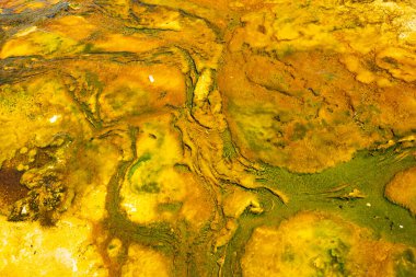 The Upper Geyser Basin, which is the location of Old Faithful Geyser, has the largest concentration of geysers in the world, including many of the world's largest.