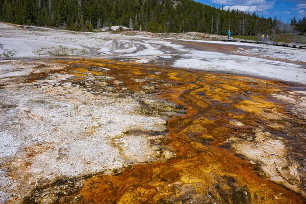 Upper Geyser Basin Which Location Old Faithful Geyser Has Largest — Stock Photo, Image