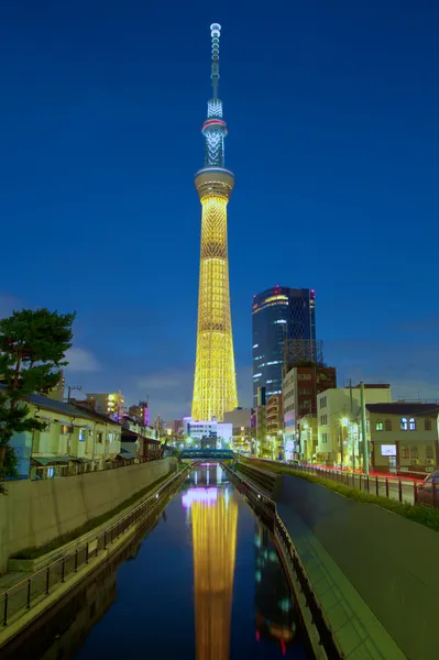 Japonya'da gökyüzü ağaç