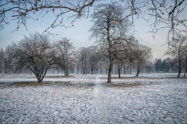 Park Belgrade Usce Snow — Stock Photo, Image