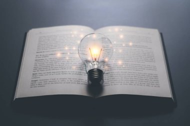 Parlak lamba ya da kitap ya da ders kitabıyla parlayan ampul. İş başarısı fikri ya da çözüm konsepti. İş adamının ya da profesyonelin gücünü düşünmek. Çalışmak, çalışmak ya da ilham almak