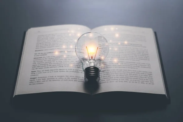Parlak lamba ya da kitap ya da ders kitabıyla parlayan ampul. İş başarısı fikri ya da çözüm konsepti. İş adamının ya da profesyonelin gücünü düşünmek. Çalışmak, çalışmak ya da ilham almak