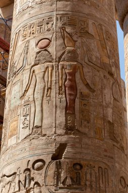 Luxor 'daki güzel Mısır tapınağında hiyeroglifler ve antik sembollerle büyük sütunlar oluşturuldu. Karnak Tapınağı.