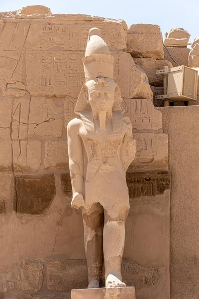 Sochy Faraóna Ramsese Iii Střežící Okrsek Chrámu Karnaka Luxora Egypta — Stock fotografie