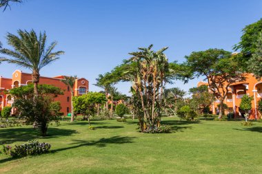 Hurghada, Mısır - 25 Eylül 2021: Otel Karayipler 'de muz ağaçları olan Mısır bahçesi