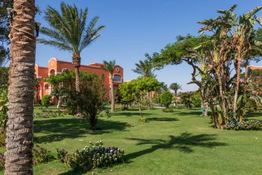 Hurghada, Mısır - 25 Eylül 2021: Otel Karayipler 'de palmiye ağaçları olan Mısır bahçesi