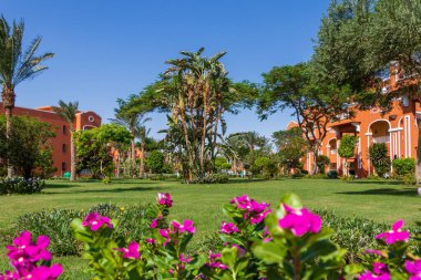Hurghada, Mısır - 25 Eylül 2021: Otel Karayipler 'de muz ağaçları olan Mısır bahçesi