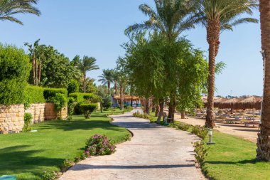 Mısır Kızıl Denizi kıyısında güzel bir kaldırım, Hurghada..