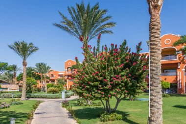 Hurghada, Mısır - 25 Eylül 2021: Hurghada 'da güzel bir Mısır bahçesinde taş kaldırım