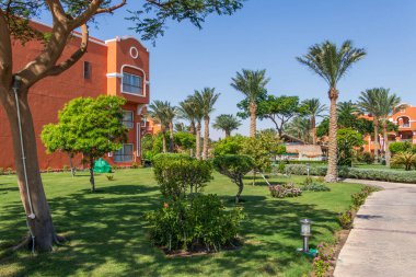 Hurghada, Mısır - 25 Eylül 2021: Otel Karayipler 'de palmiye ağaçları olan Mısır bahçesi