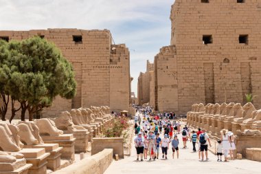Luxor, Mısır - 20 Nisan 2020: Lüksemburg, Mısır 'daki Karnak Tapınağı Kompleksi' nde Sfenks yolu