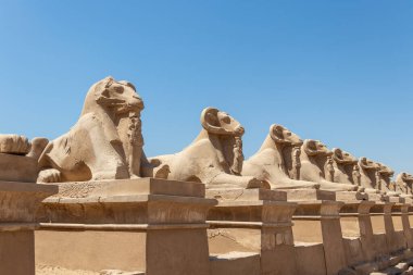 Sıraya dizilmiş bir yığın koç heykeli, Karnak tapınağı, Luxor, Mısır.