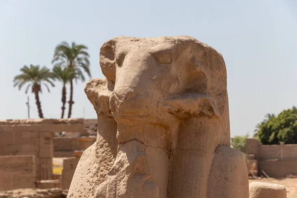 Karnak Tapınağı Luksor Mısır Antik Mimari — Stok fotoğraf