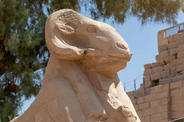 Старовинної Архітектури Храмі Карнак Напрямку Луксор Єгипет — стокове фото