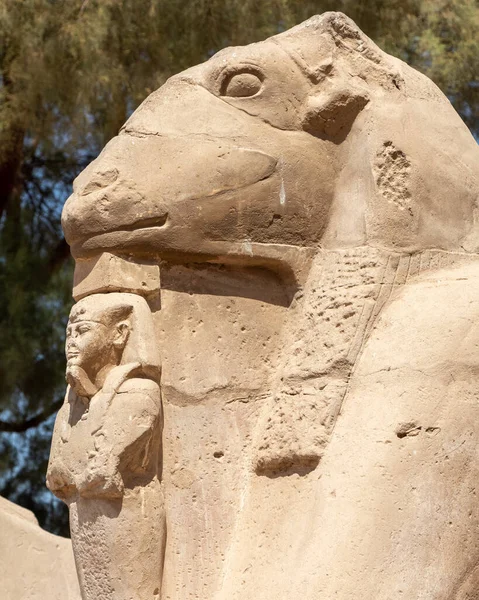 Древняя Архитектура Храма Карнак Луксоре Египет — стоковое фото