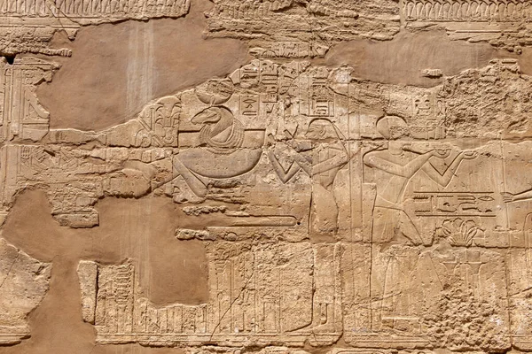 Relief Details Egyptian Hieroglyphs Karnak Temple Complex Luxor — Stock Photo, Image