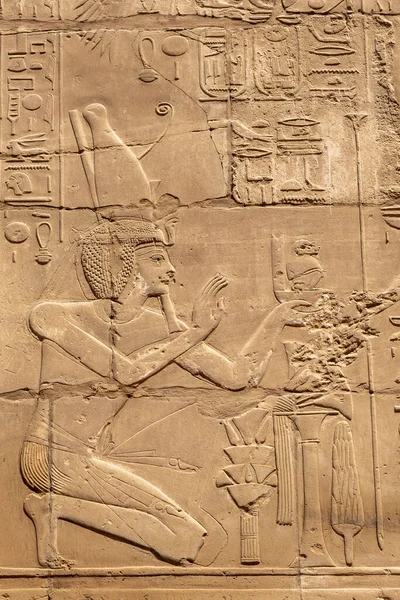 Mısır Hiyeroglifler Karnak Tapınağı Luxor Mısır Daki Antik Sembollerle Dolu — Stok fotoğraf