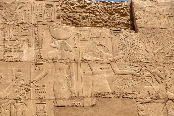 Massive Columns Beautiful Egyptian Landmark Hieroglyphics Ancient Symbols Karnak Temple — Stock Photo, Image