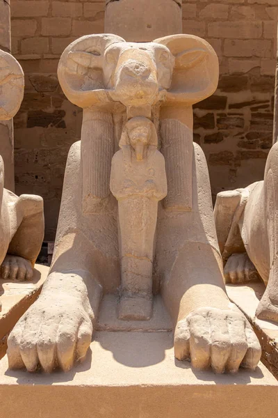 Arquitetura Antiga Templo Karnak Luxor Egito — Fotografia de Stock