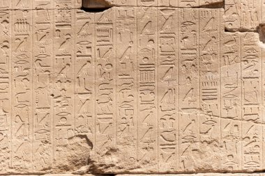 Mısır 'ın Luxor kentindeki Karnak Tapınağı kompleksindeki rahatlama detayları ve Mısır hiyeroglifleri