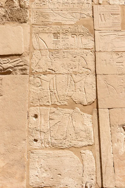Mısır Luxor Kentindeki Karnak Tapınağı Kompleksindeki Rahatlama Detayları Mısır Hiyeroglifleri — Stok fotoğraf