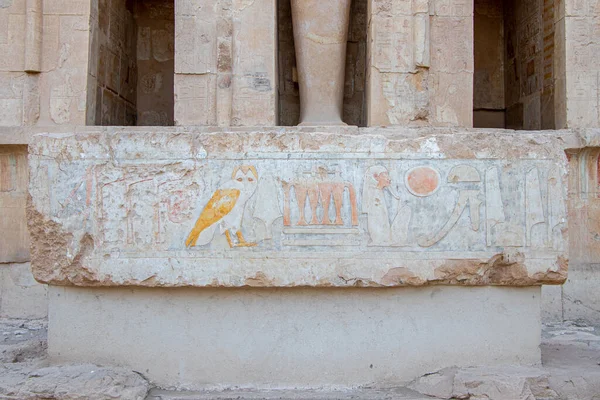 Стародавні Єгипетські Гравюри Храмі Морфорія Хатшепсуті Єгипет — стокове фото