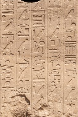 Mısır 'ın Luxor kentindeki Karnak Tapınağı' nın taş duvarlarında antik Mısır duvar resimleri ve hiyeroglifleri var.