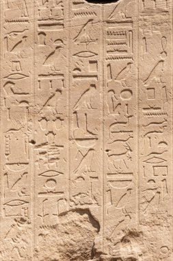 Mısır 'ın Luxor kentindeki Karnak Tapınağı' nın taş duvarlarında antik Mısır duvar resimleri ve hiyeroglifleri var.