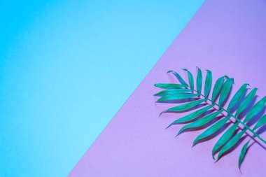 Tropikal ve palmiye yaprakları canlı, kalın, gradyan holografik neon renkleriyle. Asgari sürrealizm arka planı.