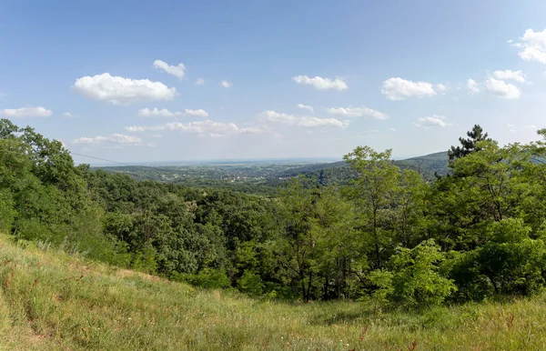 Utsiktspunkten Zmajevac Ligger Nationalparken Fruska Gora Panorama Över Kullar Och — Stockfoto