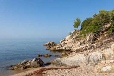 Spathies plajı Sithonia, Halkidiki, Yunanistan